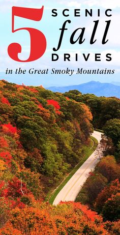 the 5 scenic fall drives in the great smoky mountains