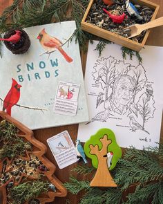 various items are displayed on a table with pine branches and other things to make it look like snow birds