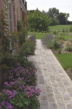 a brick walkway between two buildings with flowers in the foreground and green grass on the other side