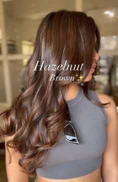 Chocolate Summer Hair, Ebony Brown Hair Color, Rich Brown Hair Balayage, Summer Hair Color For Latinas, Chestnut Chocolate Brown Hair, Coconut Brown Hair, Rich Caramel Brown Hair, Different Types Of Brown Hair Shades, Brown Hair Colors For Summer