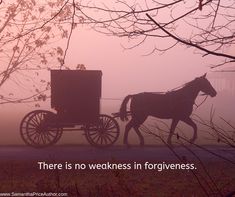 a horse drawn carriage on a foggy day