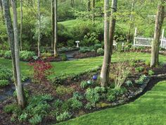 a lush green yard with lots of trees and flowers