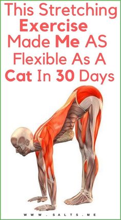 a poster with the words this stretching exercise made me as flexible as a cat in 30 days