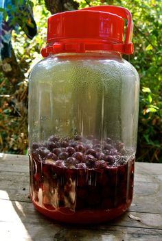 a glass jar filled with liquid sitting on top of a wooden table next to trees