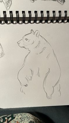 a drawing of a bear sitting on top of a table