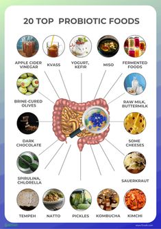 Benefits Of Probiotics, Probiotic Benefits, Prebiotics And Probiotics, Probiotic Foods, Animal Protein, Holistic Nutrition, Healthy Families, Digestive Health