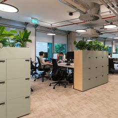 two people working at desks in an office with plants on the walls and floor