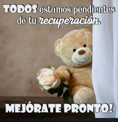 a brown teddy bear holding a white rose in it's hand with the caption, mejods estamos pendentes de tu recuperacion