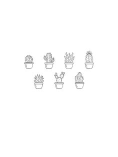 a line drawing of different types of cactus in pots