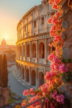 the sun is setting over the colossion in rome, italy with pink flowers growing on it