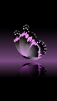 a purple butterfly with black spots on it's wings is reflected in the water