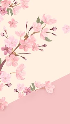 pink flowers with green leaves on a white and pink background