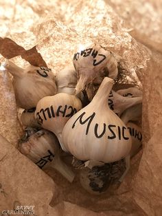 several garlic heads with words written on them