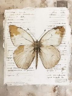 a painting of a butterfly on top of a piece of paper