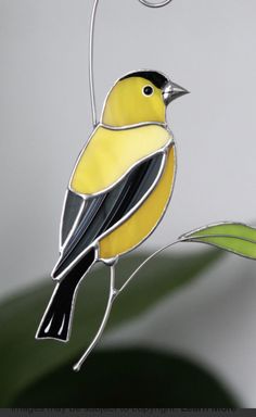 a yellow and black bird sitting on top of a green leaf next to a plant