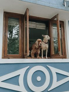 two dogs sitting in the window sill of a building with an eye symbol painted on it