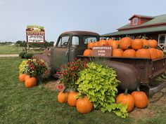 an old truck with pumpkins on the bed in front of a farm store sign