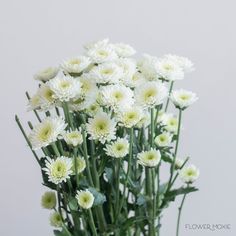 a bunch of white flowers sitting in a vase