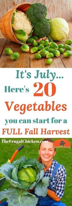 there is a woman sitting in the grass with vegetables on her lap and text overlay that reads, it's july here's 20 vegetables you can start for a full fall harvest