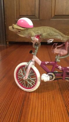 a toy bike with a lizard on the front wheel and a pink ball in the back tire