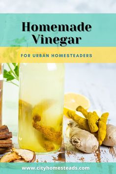 homemade vinegar for urban homesteaders is an easy recipe to make with fresh herbs and lemons