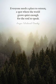 trees in the fog with a quote on it