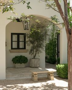 a white house with a tree in the front yard