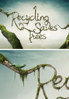 two photos with the words recycling and an image of a tree branch that has moss growing on it