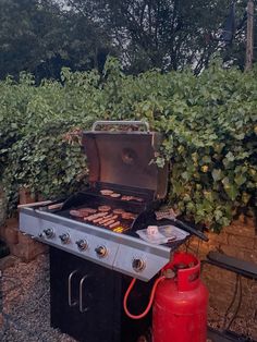 an outdoor grill with hotdogs and ketchup on it in front of some bushes