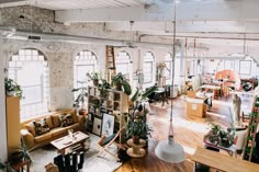 a living room filled with lots of furniture and plants on top of it's walls