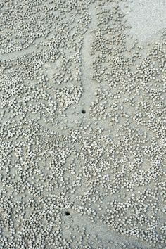 the sand is covered with tiny balls and pebbles, as if they were floating in water