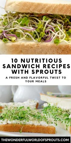 an image of sandwiches with sprouts on them