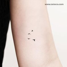 small birds tattoo on the arm