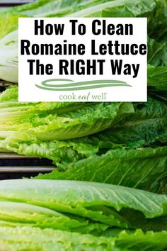 romaine lettuce with the title how to clean roman lettuce the right way