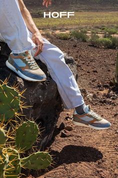 a man sitting on top of a rock next to a green plant and desert landscape