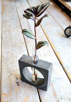 a plant in a vase sitting on top of a wooden table