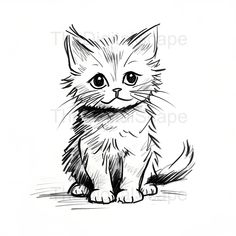 a black and white drawing of a kitten sitting on the ground with its eyes wide open