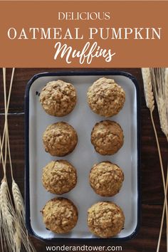 Delicious Oatmeal Pumpkin Muffins