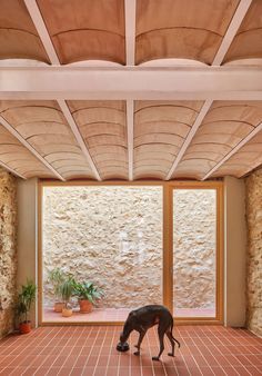 Sandra And Mario’s House - Picture gallery 8 2022 Picture, Mediterranean House, Mediterranean Homes, Architectural Digest, Contemporary Architecture, Original Image, Picture Gallery, Mario, Spain