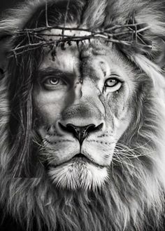 black and white photo of lion with crown of thorns on his head, looking at camera