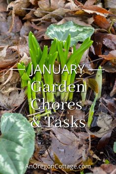 the words january garden chores and tasks on top of leaves