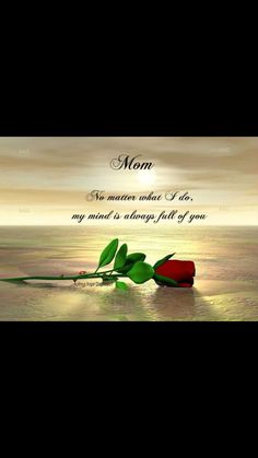 a mother's day card with a rose on the water