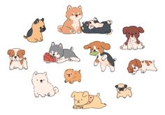 a bunch of dogs that are laying down