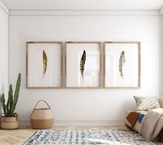 three framed pictures hang on the wall above a rug in front of a potted cacti