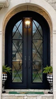 a black double door with two planters on each side and one light above it