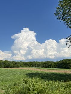 an open field with trees and clouds in the sky