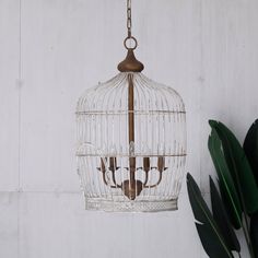 a birdcage hanging from a chain next to a potted plant on a white wall