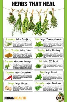 herbs that heal poster with instructions on how to use them