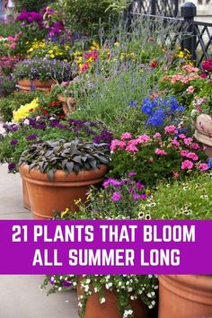 several potted plants with the words tips and tricks gardening process you need to remember