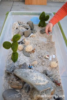 a child is playing with rocks and plants